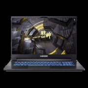 神舟(HASEE) 战神G8系列 十代 I7+8G+512