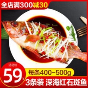 鲜驰 深海红石斑鱼 鲜活急冻 3条约3斤