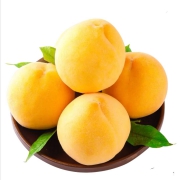 山东蒙阴黄桃   黄金水蜜桃  4.5-5斤