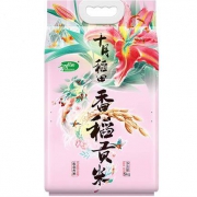 PLUS会员：十月稻田 东北大米   5kg*2件+马大泡 牛肉酱180g*2