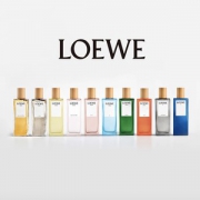 新品发售： 不止有001事后清晨——LOEWE 罗意威 光之缪斯/罗意威之水系列 男士香水&女士香水