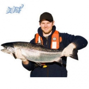 美威 智利原味三文鱼整条 4kg 礼盒装+海南野生搬九节虾 4件 *5件