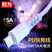 shengwei 胜为 100W PD快充线 1米