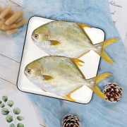 PLUS会员：翔泰 国产海南金鲳鱼900g（2条）*5件