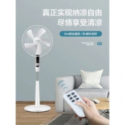 先锋 DD3305 家用静音电风扇