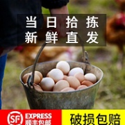 破损包赔、会飞上树鸡，新鲜土鸡蛋 30枚