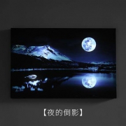 9PIG 九猪 创意壁画灯 4款可选 40*60cm