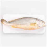 海天下 冷冻东海大黄鱼 500g/2条 *5件
