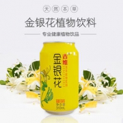 吉维 金银花本草凉茶植物饮料 310ml*12罐