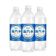 延中 盐汽水 600ml*20瓶