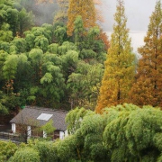 杭州菩提谷民宿 庭院/露台山景大床房/榻榻米山景双床房2晚（含早餐）