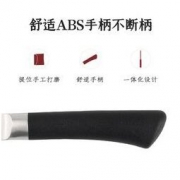 白菜价：拓牌 不锈钢蜂鸟水果刀 19cm