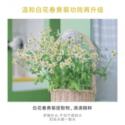 采词 洋甘菊喷雾 保湿控油 200ml