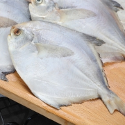 小船长 冷冻东海银鲳鱼 500g  5-7条 *7件