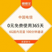 湖北电信 星卡日租版 6G国内流量 100分钟通话 0元一年