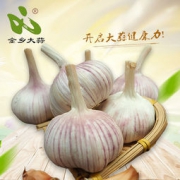 金乡紫白皮干大蒜 5斤装