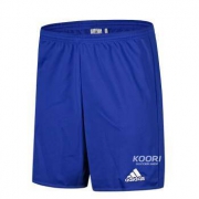 ADIDAS 阿迪达斯 男士短裤  五分裤足球训练短裤 AJ5880