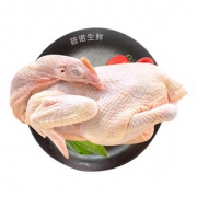 筱诺 新鲜现杀散养三黄鸡 750g/只 *4件 *4件