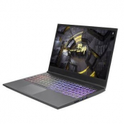 历史低价： Hasee 神舟 战神 Z7M-CT5GA 15.6英寸笔记本电脑（i5-9300H、8GB、512GB、GTX1650、72%色域）