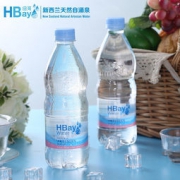 HBay 纽湾 天然饮用瓶装水 500ml*20瓶