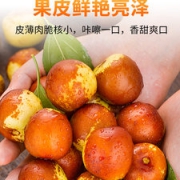 山东沾化特产 当季甜脆冬枣 5斤