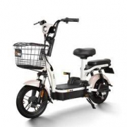 Yadea 雅迪 TDT1220Z 成人电动车 +凑单品