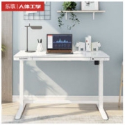 Loctek 乐歌 E5 玻璃面电动升降桌 120*60*72cm（支持快充）