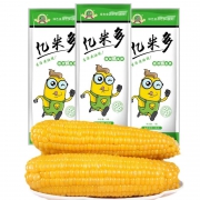 亿米多 东北 黄糯玉米棒 10支