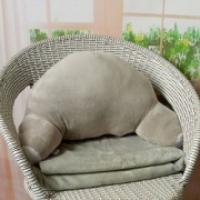 贝宜康 座椅靠枕 55*30cm 9.9元包邮（需用券）