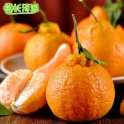 五斤装早秋不知火青黄丑橘