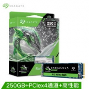 希捷(Seagate) 250GB固态硬盘M.2接口