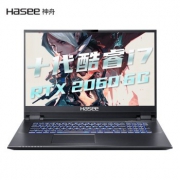 Hasee 神舟 战神 G8-CU7PK 17.3笔记本电脑 (i7-10750H、16GB、256GB+1TB、RTX2060 6G) 6759.1元包邮（下单9折、需用券）