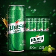 百亿补贴： 乌苏啤酒 大绿拉 500ml*6罐