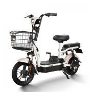 22日0点：Yadea 雅迪 小金果 48V12AH 成人电动车