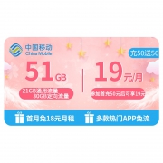 中国移动 北京移动 大王卡 低月租移动电话卡 19元月租51GB大流量卡