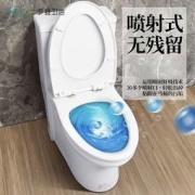 Roden 罗登 地排喷射虹吸式小户型马桶