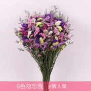 WU WANG WO 勿忘我 干花花束 6色混装 2斤装 配情人草 15.8元包邮（2人拼、需用券）