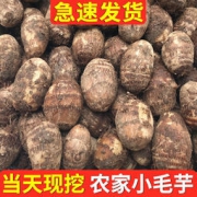 新鲜粉糯荔浦小毛芋头 5斤