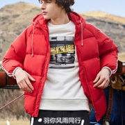 反季好价 森马 男士短款羽绒服 多款可选