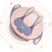 百亿补贴： BabyCare 儿童吸盘碗套装