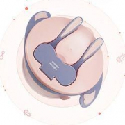 百亿补贴： BabyCare 儿童吸盘碗套装