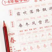 王刚代言 六品堂 小学生练字帖