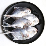味库 新鲜冷冻小银鲳鱼 5斤装