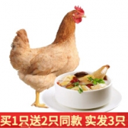 芮瑞 新鲜三黄鸡 整只 约850g  1只
