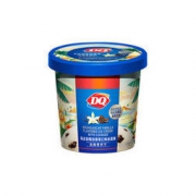 DQ 马达加斯加香草口味冰淇淋（含曲奇饼干） 90g *6件