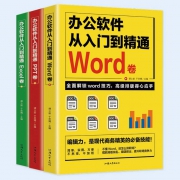 《办公软件从入门到精通》3册