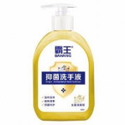 霸王 抑菌洗手液（生姜清爽型）500g *2件