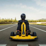 小米 Ninebot 九号 卡丁车Pro 兰博基尼汽车定制版