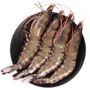 3份89元！喵小二 越南新鲜活冻黑虎虾毛重600g  约12-20只*3件