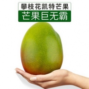 果域城 攀枝花 凯特芒果 单果400-800g 5斤